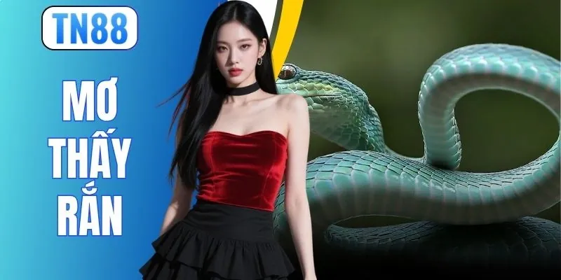 Mơ Thấy Rắn - 4 Điềm Báo Cùng 2 Con Số Phát Tài Nhanh Chóng